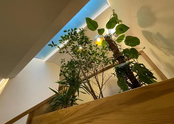 Aigle Κουρμαγιέρ